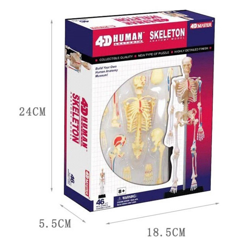 4d Human Full Skeleton Anatomy - Medical Lab Assistant recension och pris