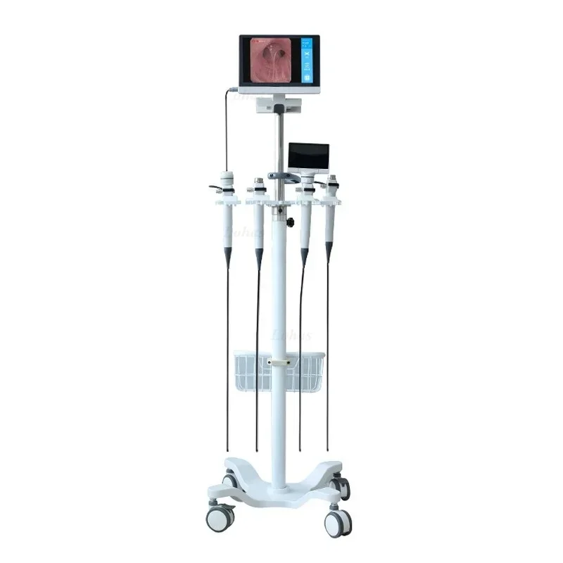 LHBF Por HD Video  Flexible Br - Medical Lab Video recension och pris